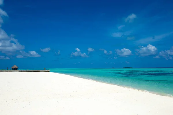 Tropical beach in Maldives — Stock Photo, Image