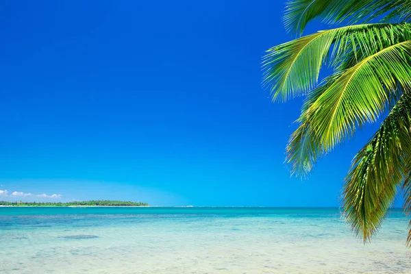 Praia e mar tropical — Fotografia de Stock