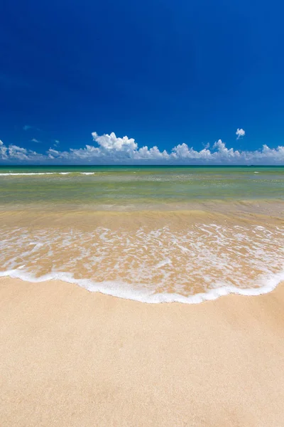 Tropisk strand på Sri Lanka – stockfoto