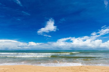 plaj ve tropikal deniz