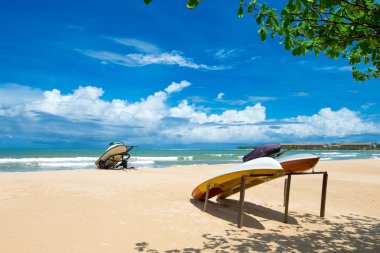 plaj ve tropikal deniz