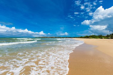 plaj ve tropikal deniz