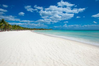 plaj ve tropikal deniz