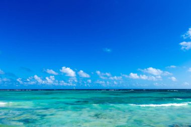 Maldivler 'deki tropik plaj