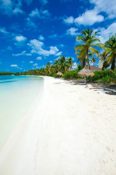 Spiaggia e mare tropicale — Foto Stock