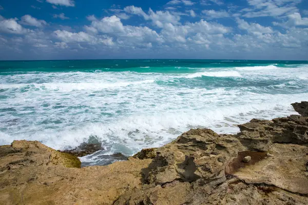 plaj ve tropikal deniz