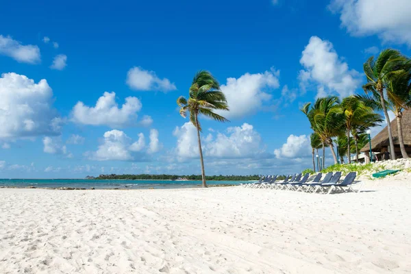 Beach and tropical sea — Stock Photo, Image