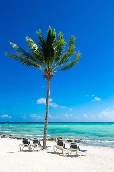 Praia e mar tropical — Fotografia de Stock