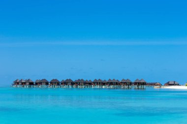 Maldivler 'deki tropik plaj 