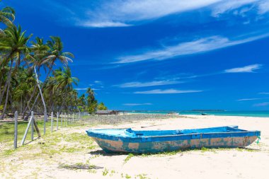 plaj ve tropikal deniz