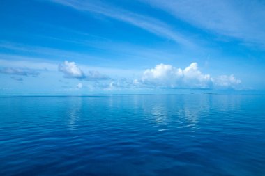 Maldivler 'deki tropik plaj