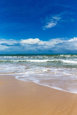 plaj ve tropikal deniz