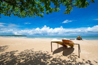 plaj ve tropikal deniz