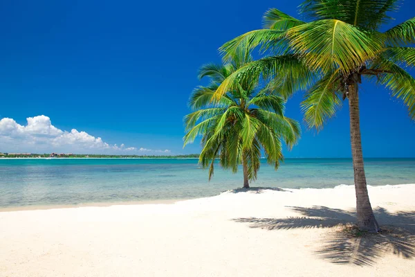 Playa y mar tropical — Foto de Stock