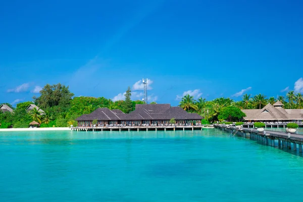 Maldivler 'deki tropik plaj 