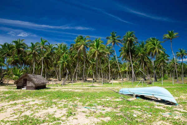 Beach and tropical sea — Stock Photo, Image