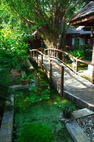 Hindistan cevizi hurma ağaçları ile Bahçe