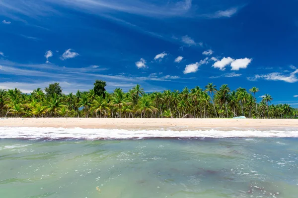 Strand und tropisches Meer — Stockfoto