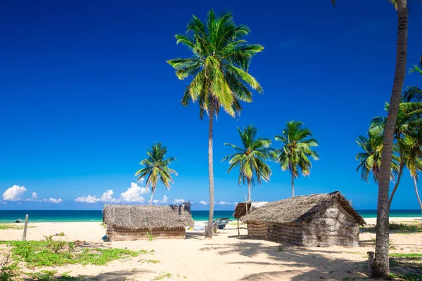 Playa tropical en Maldivas con pocas palmeras y laguna azul — Foto de Stock