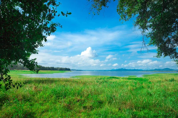 斯里兰卡湖, 斯里兰卡景观 — 图库照片