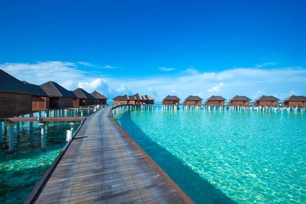 Tropisk Maldiverna ö — Stockfoto