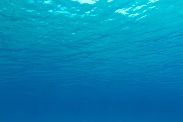 Beautiful underwater scene — Stock Photo, Image