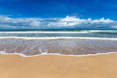 plaj ve tropikal deniz