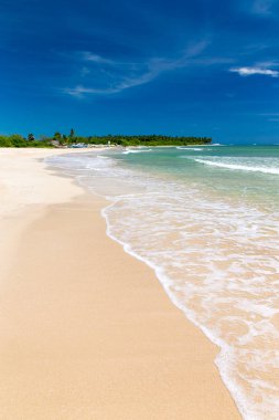 plaj ve tropikal deniz