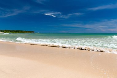 plaj ve tropikal deniz