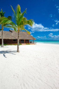  güneşli tropikal deniz