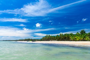 plaj ve tropikal deniz