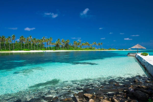 Playa con palmeras —  Fotos de Stock