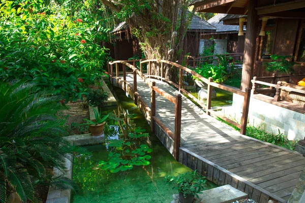 Palmiye ağaçları ile Bahçe