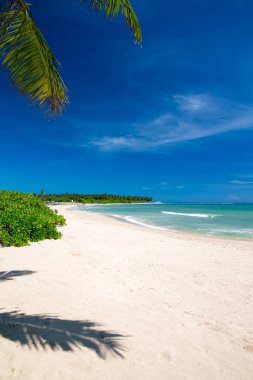  tropikal Deniz Manzaralı