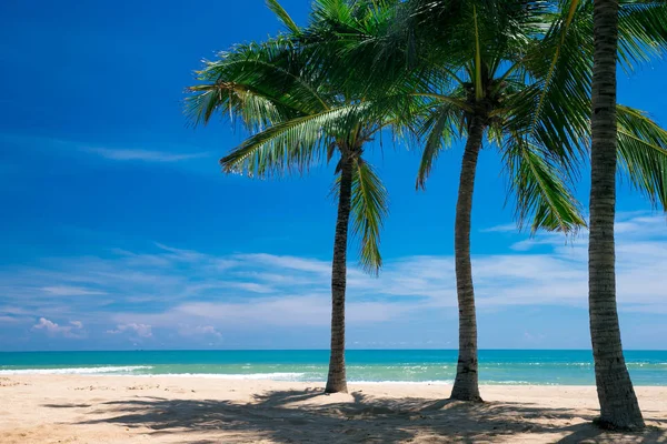 Tropischer Strand an sonnigen Tagen — Stockfoto