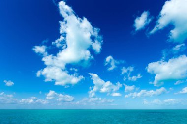 güneşli tropikal plaj