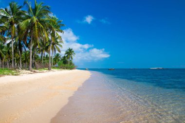 güneşli tropikal plaj