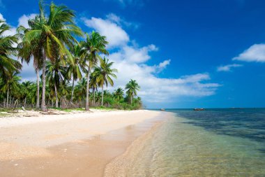  tropikal Deniz Manzaralı