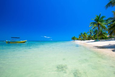  tropikal Deniz Manzaralı