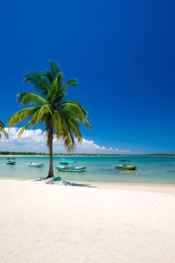güneşli tropikal plaj