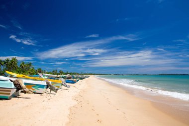  tropikal Deniz Manzaralı