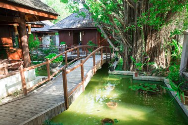 Hindistan cevizi hurma ağaçları ile Bahçe