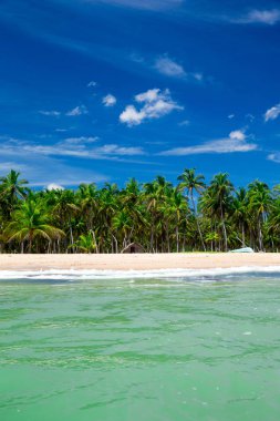 güneşli tropikal plaj