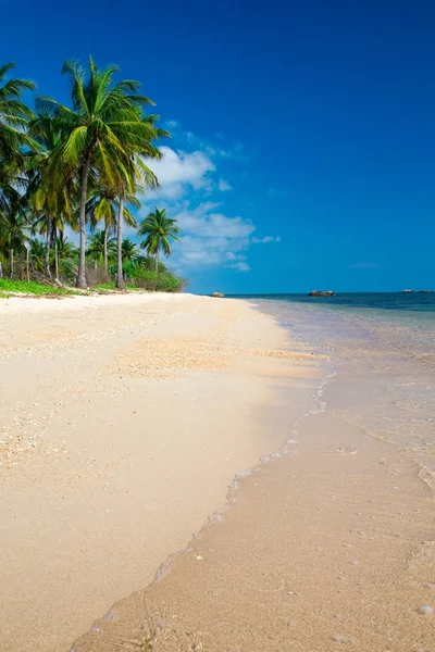 Tropisk strand på solig dag — Stockfoto