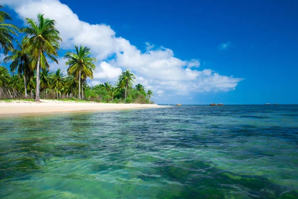 Tropisk strand på solig dag — Stockfoto