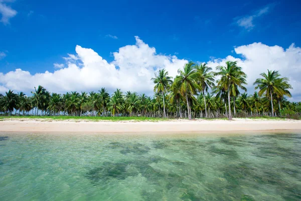 Tropical beach w słoneczny dzień — Zdjęcie stockowe