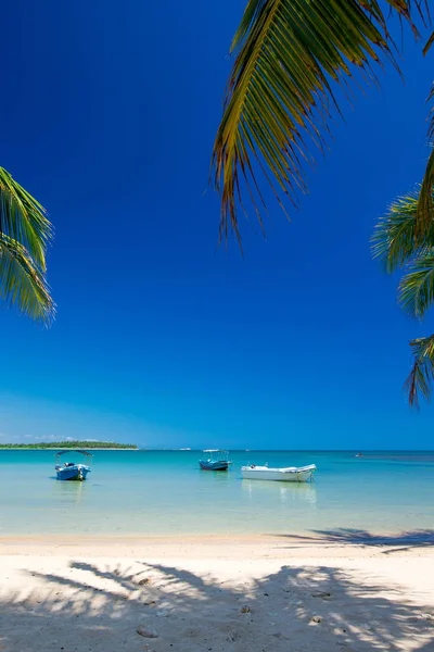 Tropical sea view — Stock Photo, Image