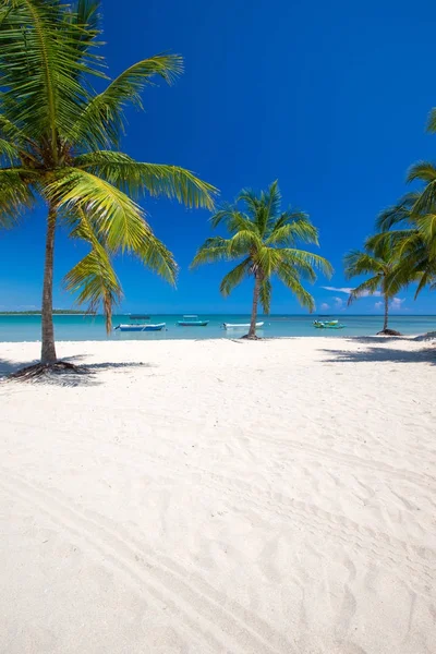 Tropical beach w słoneczny dzień — Zdjęcie stockowe