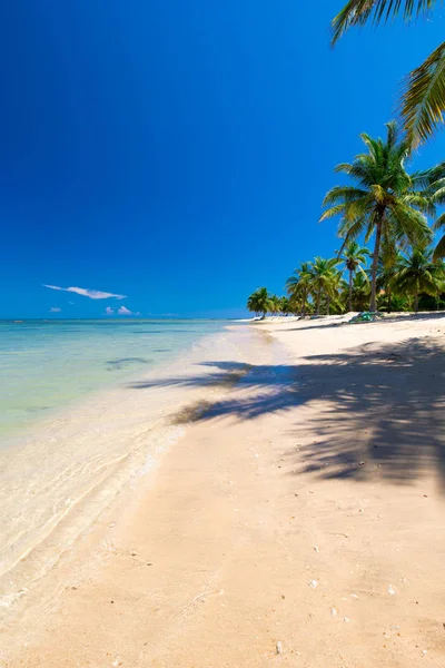 Vistas tropicales al mar — Foto de Stock