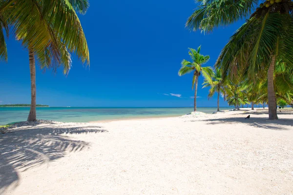 Tropischer Strand an sonnigen Tagen — Stockfoto